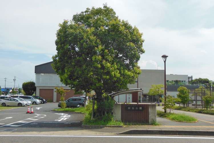 矢田川以南エリアの様子