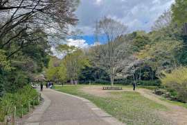 川崎市宮前区