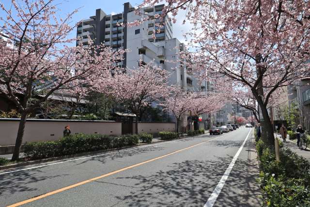 東区の様子