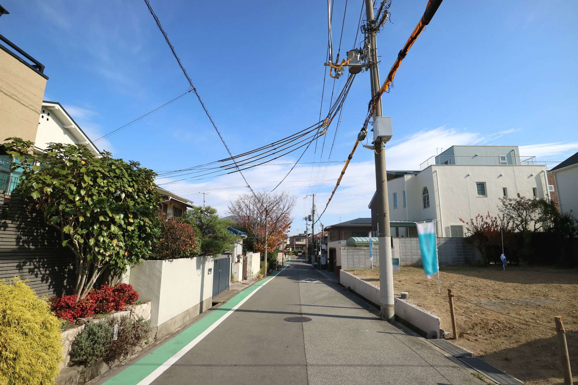 植栽のある家も多く、町中でも緑豊か。