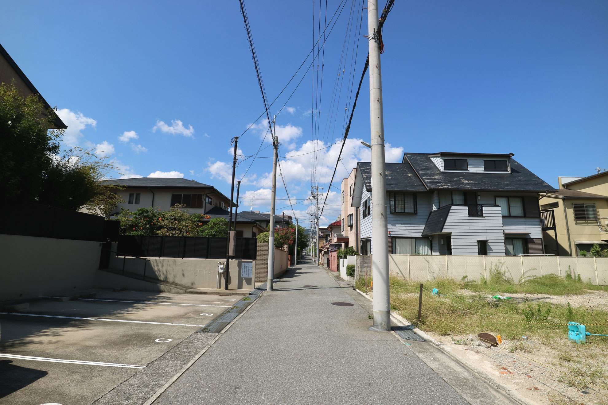 緑を身近に感じる、のどかな雰囲気の街並みです。