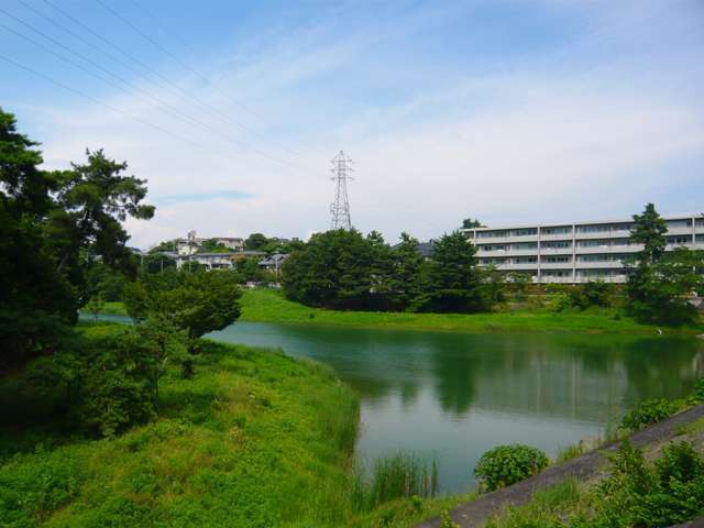 自然豊かで、絶好の散歩コースでもある『ニテコ池』。