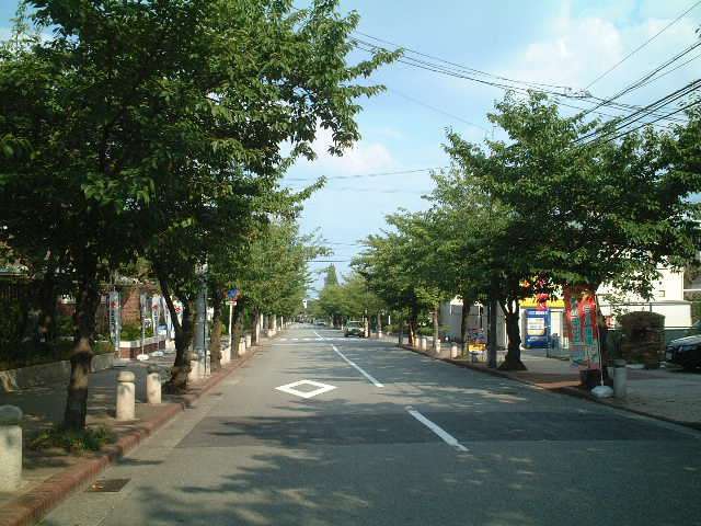 関西学院大学から駅へと続く『学園花の道』