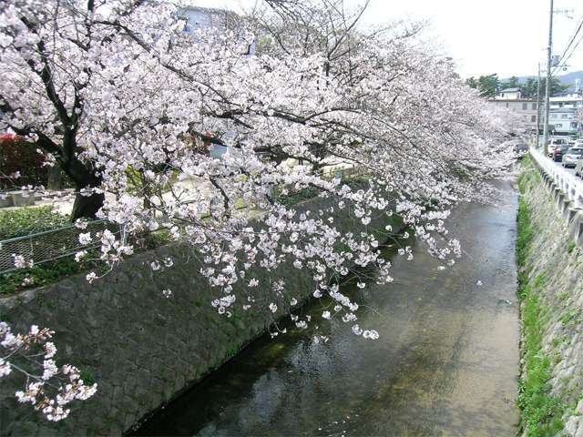 『東川』。甲山の麓から流れ出し、西宮市を南北に縦断する川。川沿いには公園や遊歩道があり、お散歩コースや子供の遊び場にぴったり。