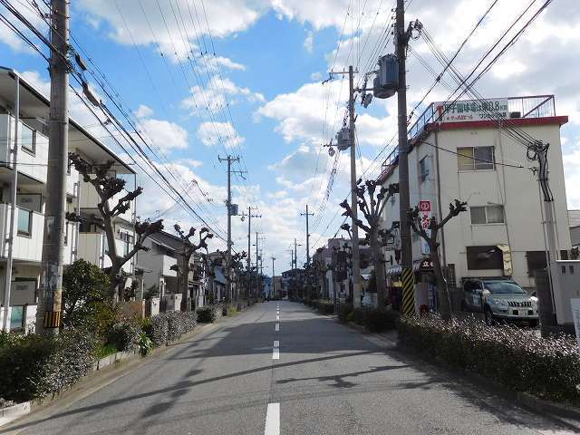 区画の整った街並みで、地勢は平坦。