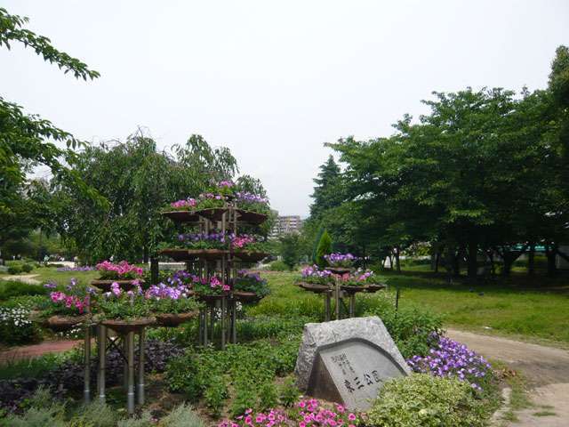 町の西側にある『東三公園』。公園内にはソメイヨシノだけでなく、様々な種類の桜が植えられています。