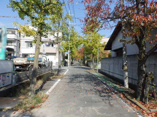 地勢は平坦で、自転車での移動もスムーズです。