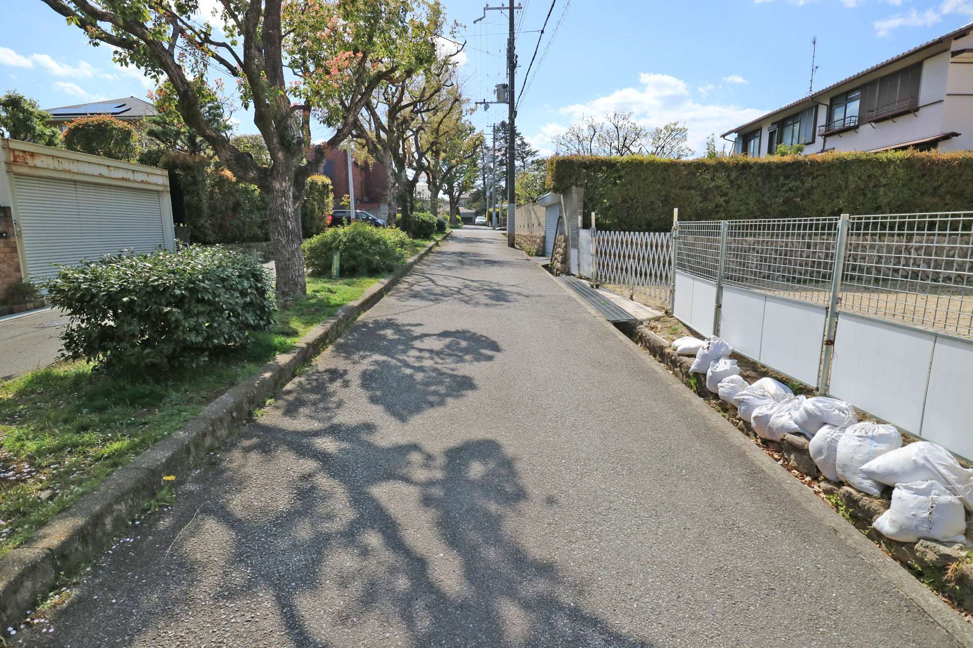 道幅は狭く入り組んでいますが、緑が多く残る街並み。