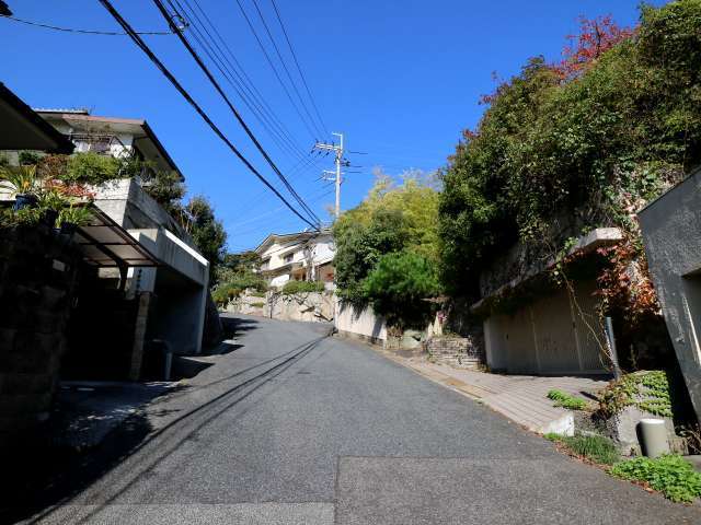 敷地の広い一戸建てが立ち並ぶ住宅エリア。