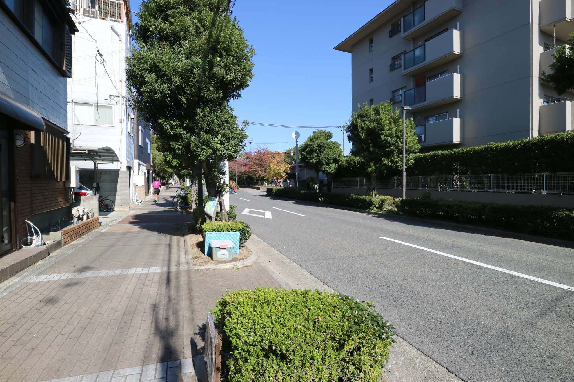 植栽が多く、町中でも緑を感じます。