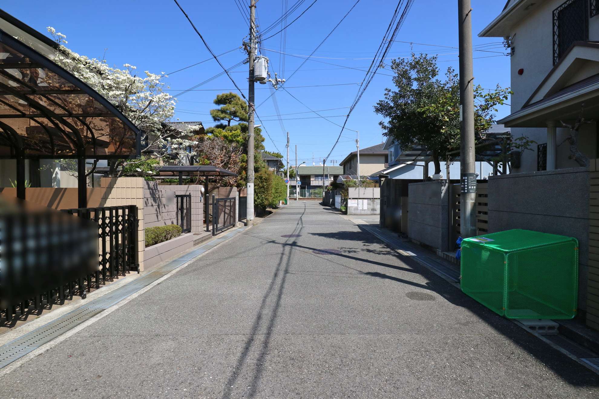 落ち着いた雰囲気の住宅地です。