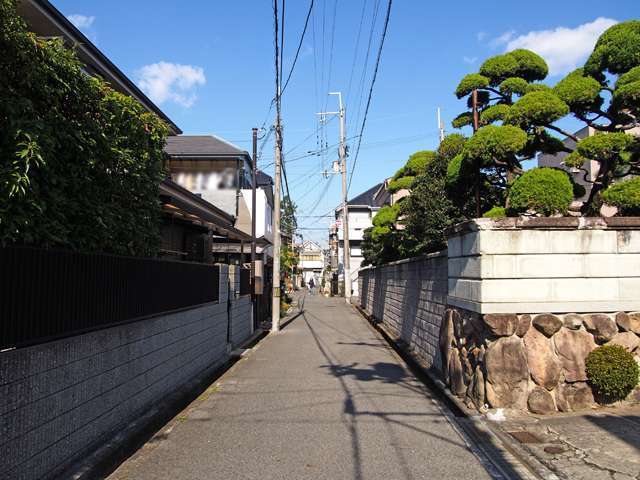 生垣のある趣のある家も見られます。