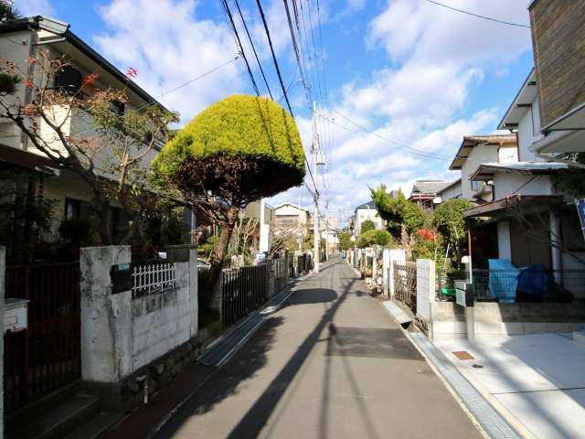 道幅はやや狭いですが、閑静な住環境が魅力です。