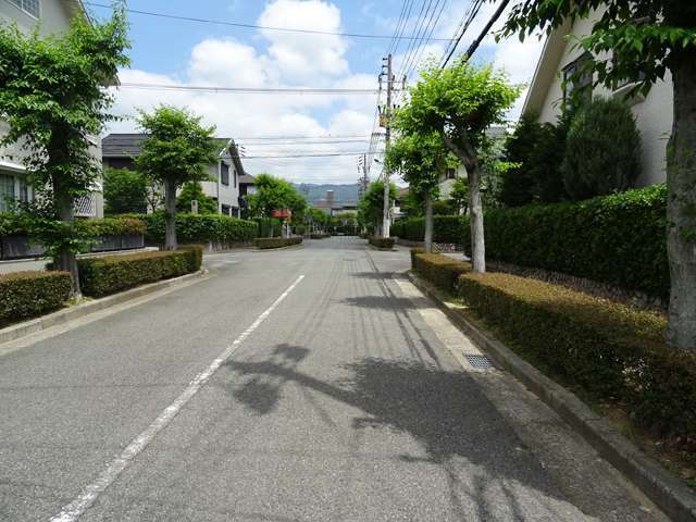 道幅が広く、街路樹のきれいな通りが多くあります。