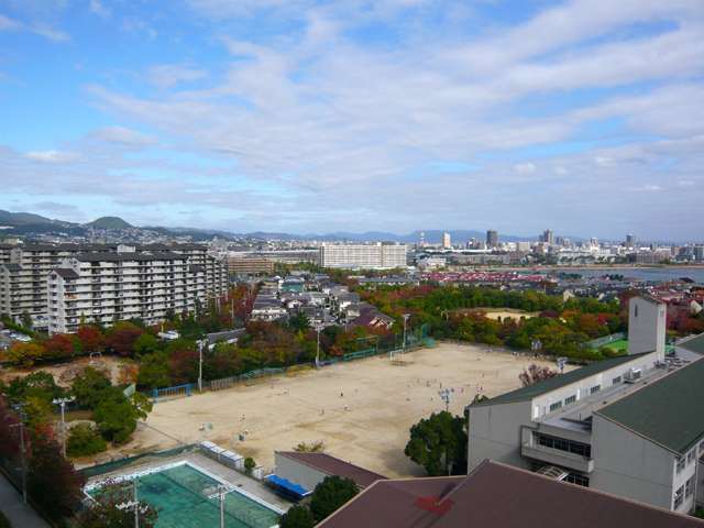 『新浜町』方面を望む。マンションと一戸建てが混在しています。