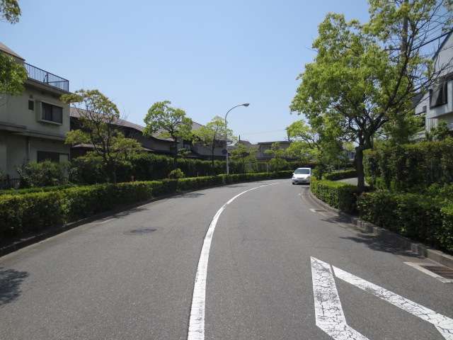 道幅が広く、街路樹のきれいな通りが多くあります。
