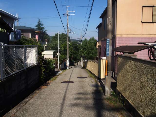 道幅が狭く入り組んだ場所もありますが、緑豊かな住環境が魅力です。