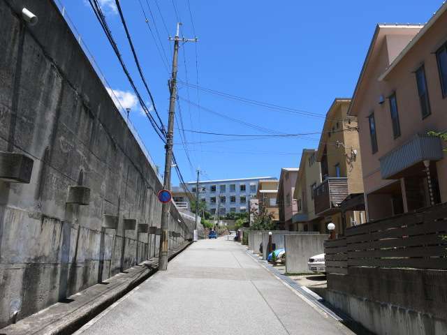 敷地の広い一戸建てやマンションなどが立ち並んでいます。