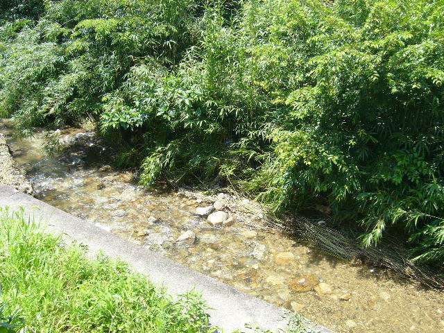 町の西側を荒神川が流れています。