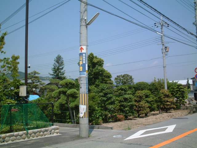 造園畑が点在しており、畦道のような道路幅の狭い所もあります。