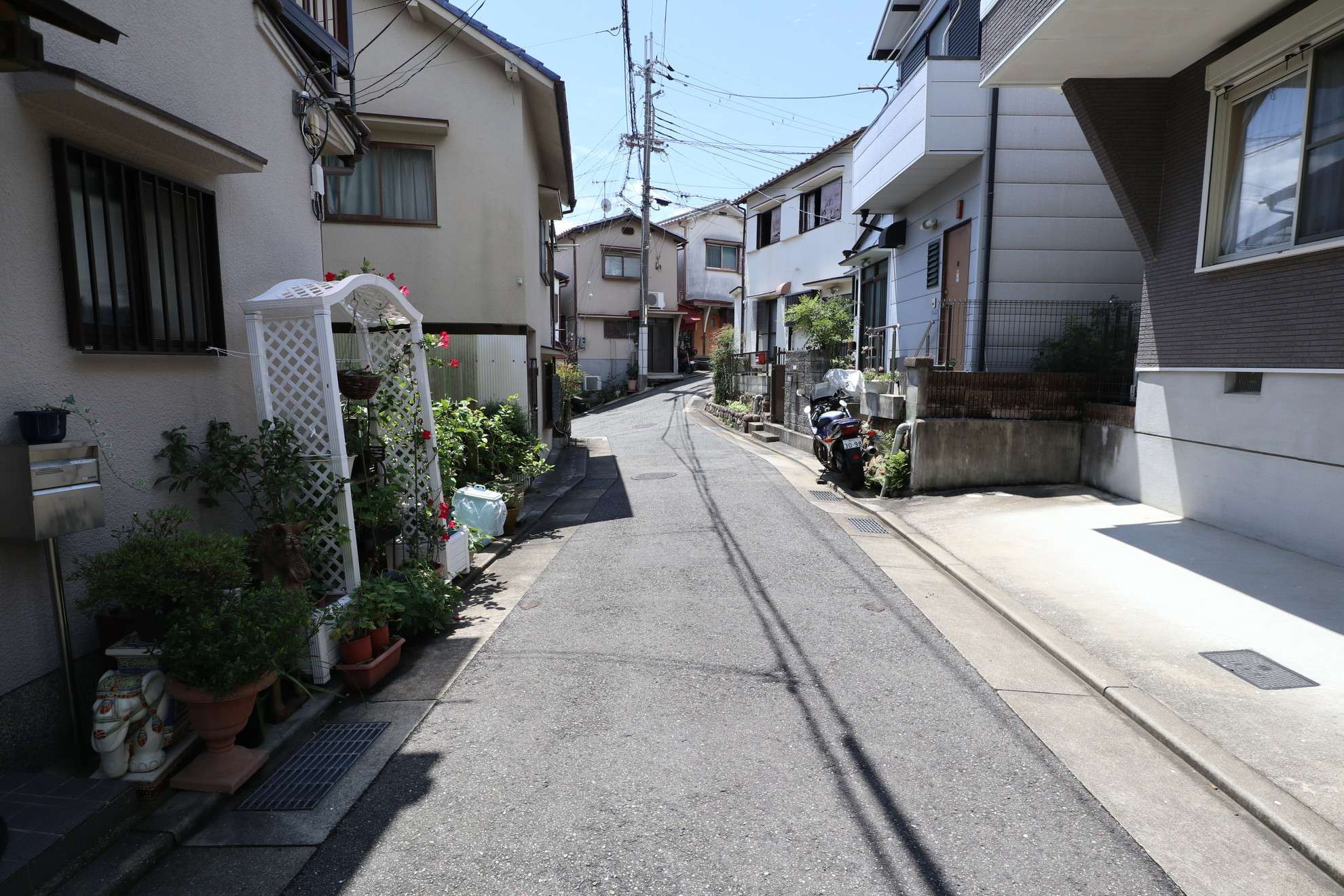 道幅は狭くやや入り組んでいますが、緑を身近に感じる住環境。