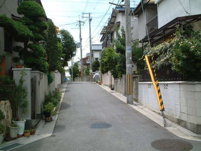 道幅はやや狭めですが、生垣のある家が多く緑豊かな印象の街並み。