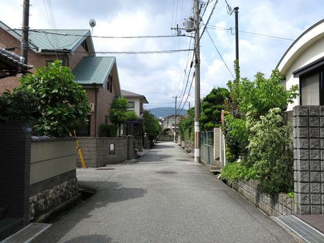 一部道幅が狭くなっている場所もありますが、すっきりした印象の街並み。緑も多め。