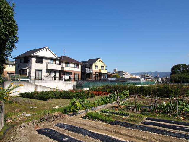 田畑が多く残っており、緑豊かでのどかな雰囲気の街並みが特徴です。