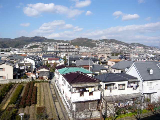 『山本丸橋』遠景。造園畑の点在する、のどかな雰囲気です。