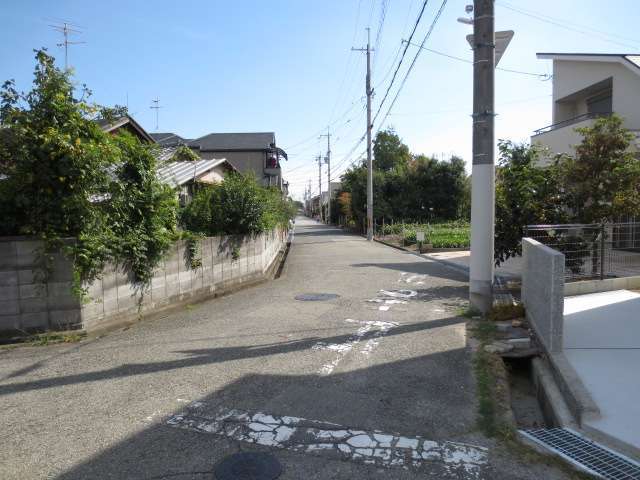 町中には田畑が点在し、のどかです。