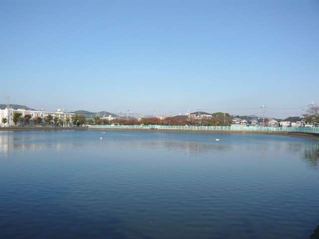 『下の池公園』。優雅に泳ぐ水鳥を眺めながら気持ちの良い時間が過ごせます。