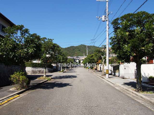 町の中心付近。街路樹が立ち並び、道幅は広くゆったりとしています。