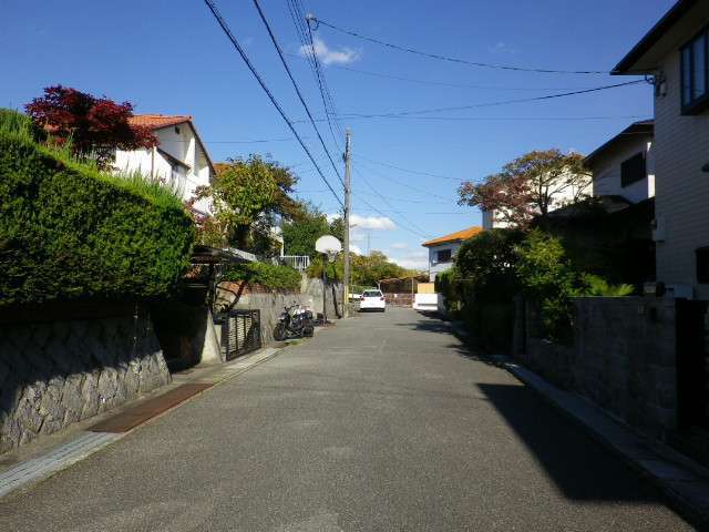 生垣のある家が多く、緑豊かな印象の街並み。