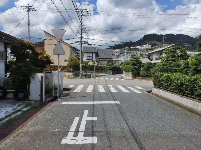 生垣のある家が多く、緑豊かな印象の街並みです。