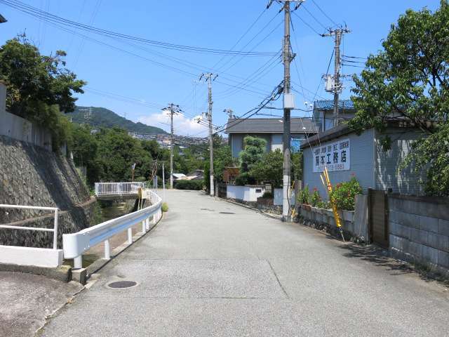 タウンの周囲は自然林に囲まれ緑豊か。