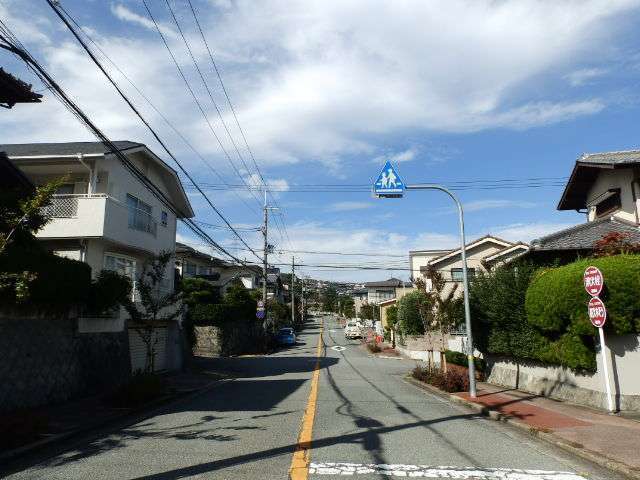 敷地の広い一戸建てが整然と立ち並んでいます。