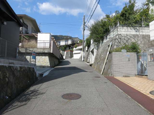 自然豊かな住環境。野鳥の姿も見られます。
