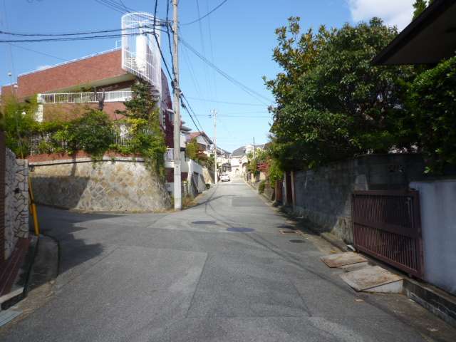 生垣や植栽のある家が多く、緑豊かな印象の街並みです。