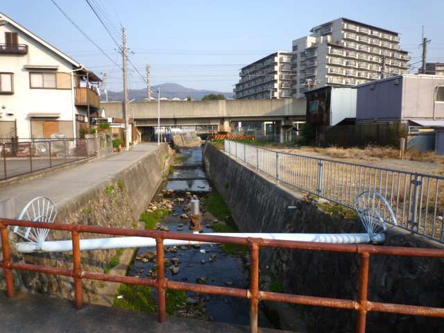 町中には水路が通っています。
