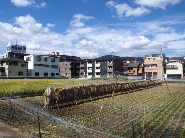 町の中心付近。田畑が残っており、のどかな雰囲気があります。