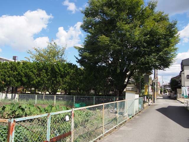 町中には田畑や公園が点在しており、のどかな雰囲気の住環境が魅力。