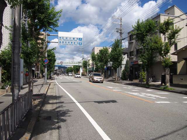 町の東部を走る県道337号線。スーパーなど各種店舗が立ち並んでいます。