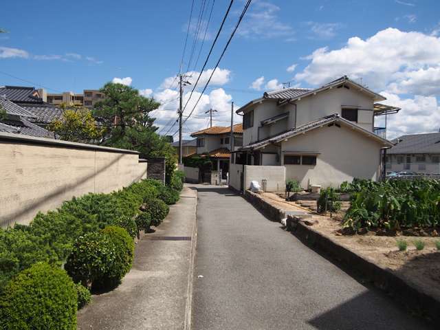 町中には田畑が残り、のどかな雰囲気の街並み。