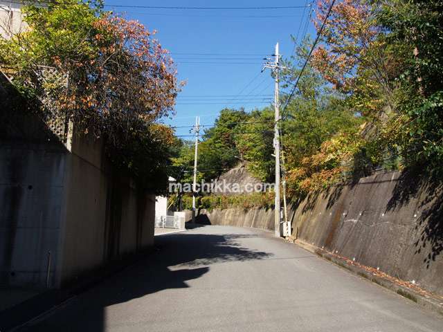 町の中心付近が標高約150mの高台にあるため、坂道が多いですが、道幅が広くすっきりした街並み。