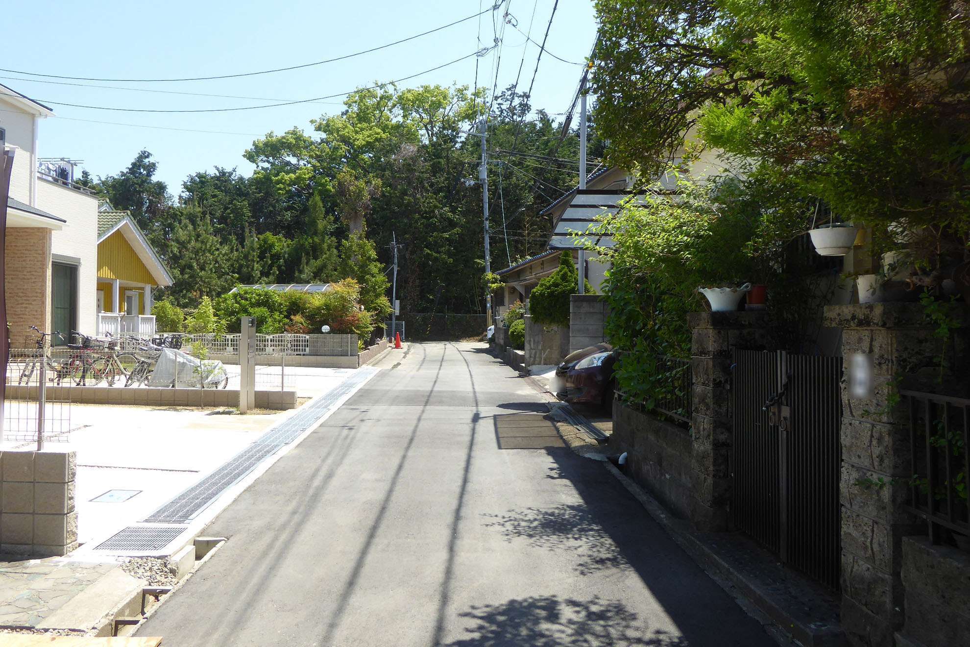 緑豊かで静かな街並みです。