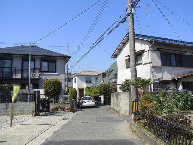 生垣のある家が多いため、緑豊かな印象の街並み。