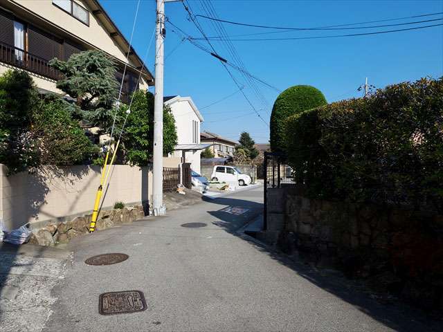 町の中央部を南方向から見た景色。大正時代に分譲された『鶴之荘住宅地』が広がり、生垣や植栽のある一戸建てが並んでいます。