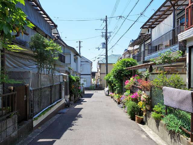 町の北部を北方向から見た景色。生垣や植栽のある家が多く、緑の潤いを感じられます。