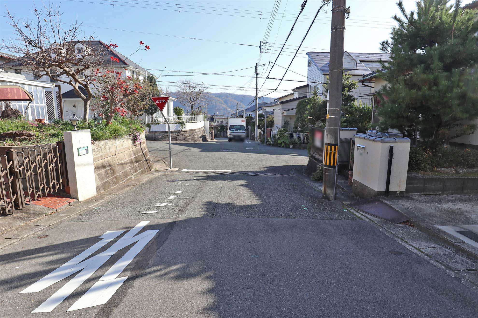 自然林に囲まれた緑豊かな住環境。