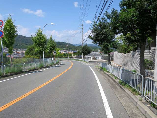 町の西端を南北に走る主要道路。道路の両側には街路樹が並び、奥には山林が見えます。